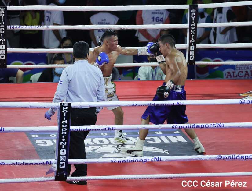 boxeo
